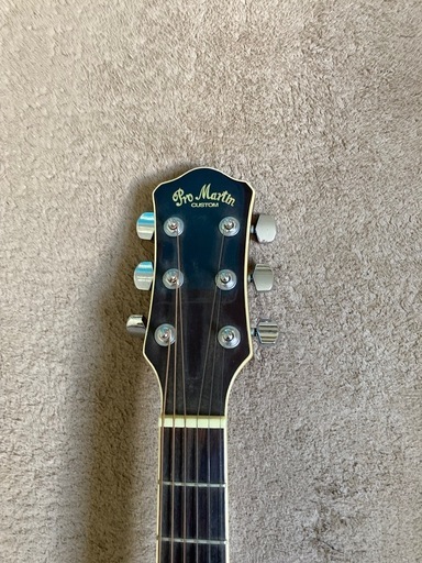 Pro Martin　custom　　EA500W　WRS エレアコ　ギター