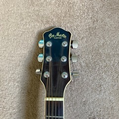 Pro MartincustomEA500WWRS エレアコギター (せい) 大曲の弦楽器 