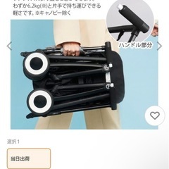 サイベックスＢ型ベビーカーの画像