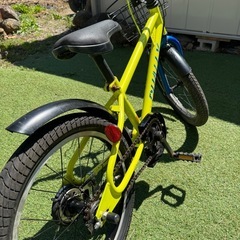 長野　
子供用　18インチの画像