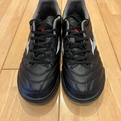 サッカートレシューの画像