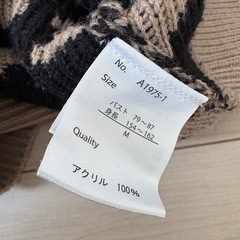 ヒョウ柄　ニット　トップスの画像