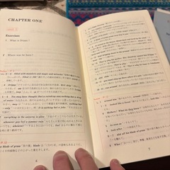 アカデミー出版の英語教材「イングリッシュ・アドベンチャー」の初級コース『家出のドリッピー（原題：DRIPPY The Runaway Raindrop）』のカセットテープとテキストのセットですの画像