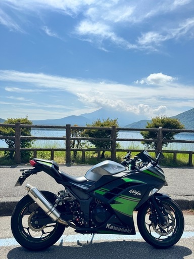ninja カワサキ ニンジャ250 ABS（EX250L）2015年モデル