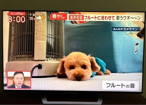 SHARP AQUOS 60V型 ４Ｋ液晶テレビ