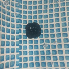 インデックスプールの画像