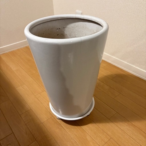 観葉植物まとめ 4点セット　植木鉢　大型　陶器 ホワイト　プランター