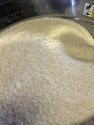 令和七年度産?コシヒカリ白米(精米済み)
15kg❗️