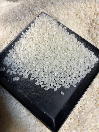 令和七年度産?コシヒカリ白米(精米済み)
15kg❗️