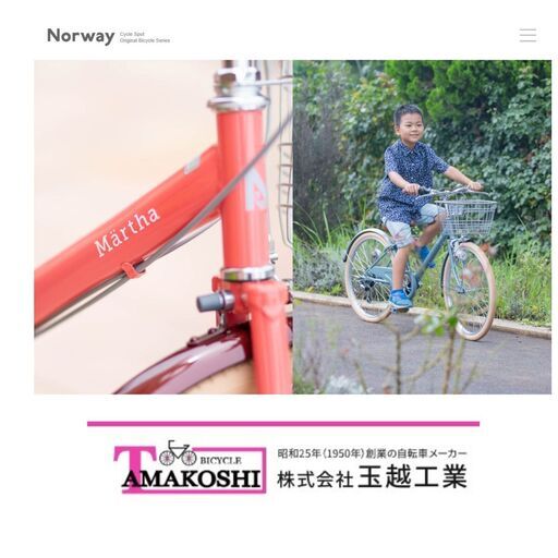 国内製造　訳あり未使用　倉庫保管で傷あり　22インチ martha