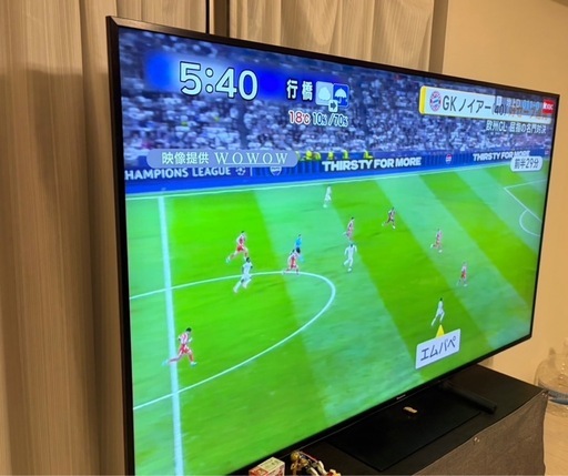 テレビ　
75インチ 