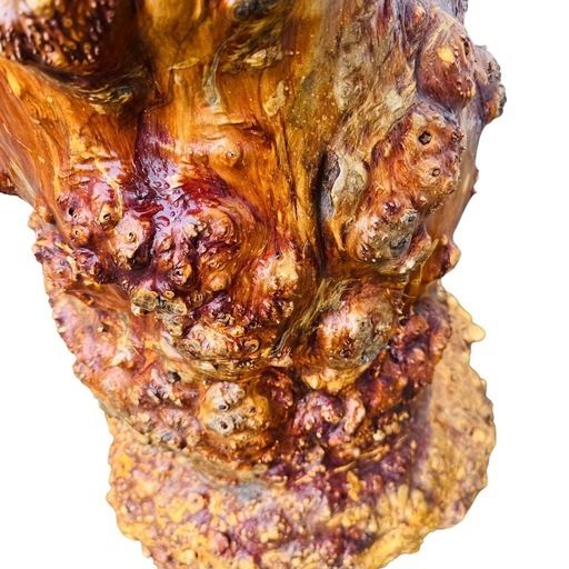 【極上の逸品】天然木 瘤出し置物 迫力ある造形美 変形木 花台 A04017