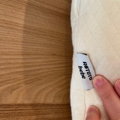 ロトトクッションの画像