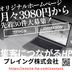 開業お試しキャンペーン★先着30件★月3980円でホームペ…