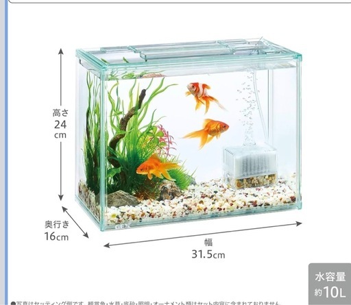 熱帯魚等水槽一式 (オレンジ) 赤嶺のその他の中古あげます・譲ります 