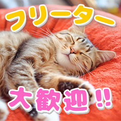 №112569【日勤のみ️️️️️☀️】20～40代の男女活躍中😊/未経験歓迎✨/正社員登用あり🔥/物流関係ECサイト関連商品及び日用品等の入出荷・検品・ピッキング・梱包・仕分け・その他付随する業務すべて含むの画像