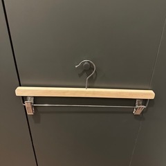 収納ケースとハンガーの画像