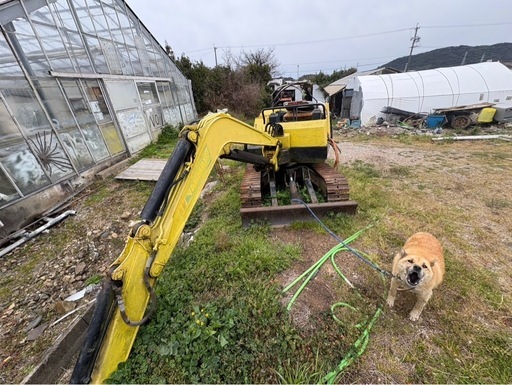 ヤンマーB22