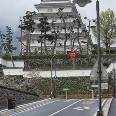 島原城周りを一緒にウォーキングしませんか？