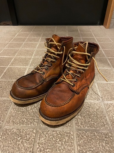 ★REDWING アイリッシュセッター★訳アリ★