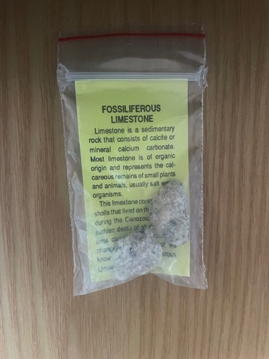 含化石石灰岩　堆積岩