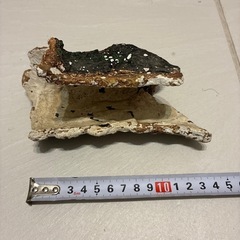 ビバリア　パーク　　爬虫類シェルターの画像
