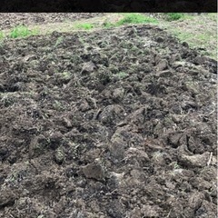 土を譲ってくださる方探しています🙇‍♀️