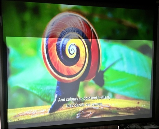 LED HD Projector  / エルイディエイチディプロジェクター