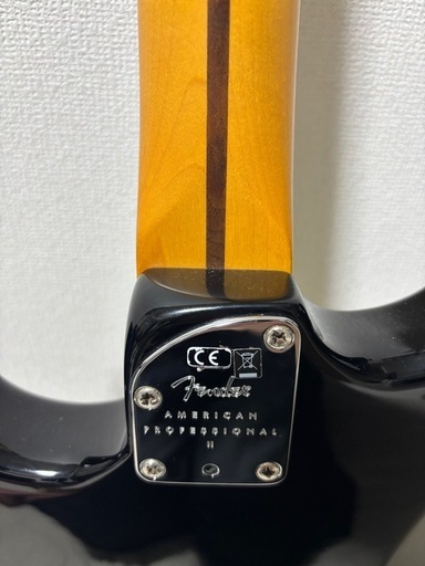 Fender American Professional Ⅱ Stratocaster Black