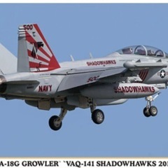 米軍放出品　VAQ-141シャドウホークス　Tシャツの画像