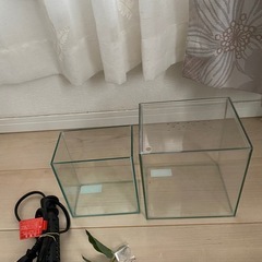 ガラス水槽2点セット(
+おまけ)の画像