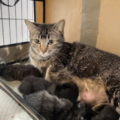 まだ幼いお顔のヨゾラちゃんママ