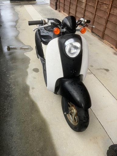 HONDA クレアスクーピー 50cc ジャンク【公式通販】