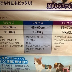 犬のマナーおむつLサイズ(開封済)の画像