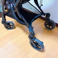 Pigeon RB2L ランフィリノン6の画像