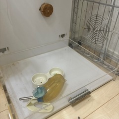 モモンガ　ゲージの画像