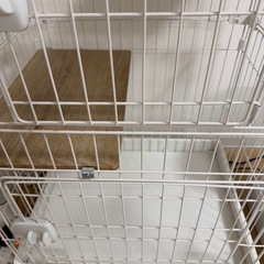 アイリスオーヤマ 猫 ケージ ミニタイプ 2段 ハンモック付き マットホワイトの画像