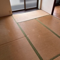 畳　タタミ　６枚の画像