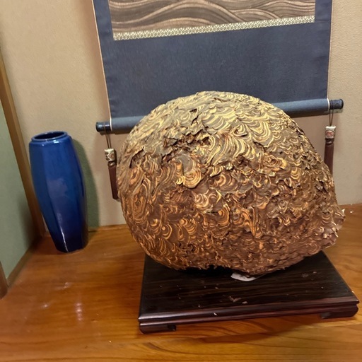 オオスズメバチの巣50センチほど