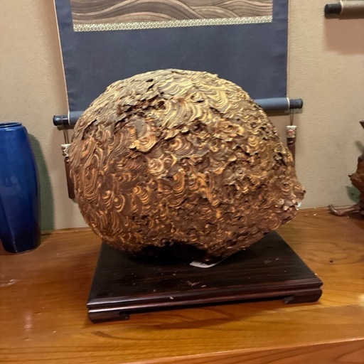 オオスズメバチの巣50センチほど