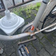LIFELEX 自転車　24インチの画像