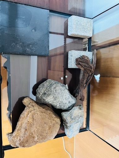 爬虫類 飼育セット一式