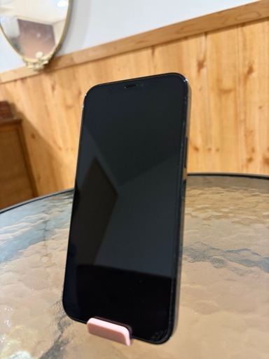 ?iPhone12  Pro  256GB ?