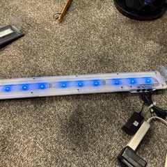 GEX 60cm水槽用ライト　水槽　ライト　熱帯魚　金魚　アクアリウム　メダカの画像