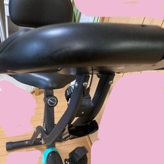 エアロバイクHAIGEの画像