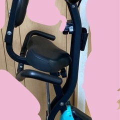 エアロバイクHAIGEの画像