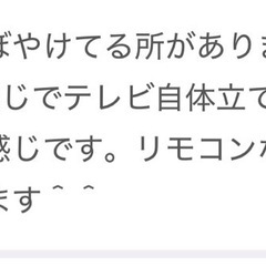無料　ジャンク　TV 部品取りにいかがですか？の画像