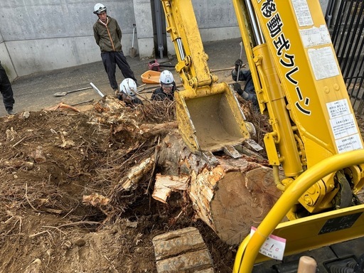 除草、伐採、手入れ、抜根