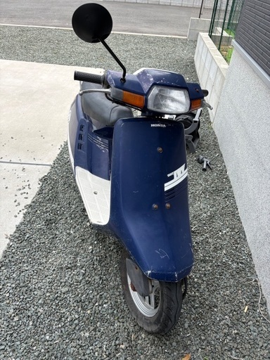 タクトアイビー