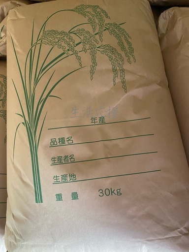 ④令和7年産コシヒカリ玄米30kg
